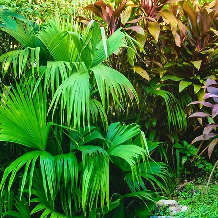 Pousada Jardim Das Bromelias Porto Seguro Buitenkant foto